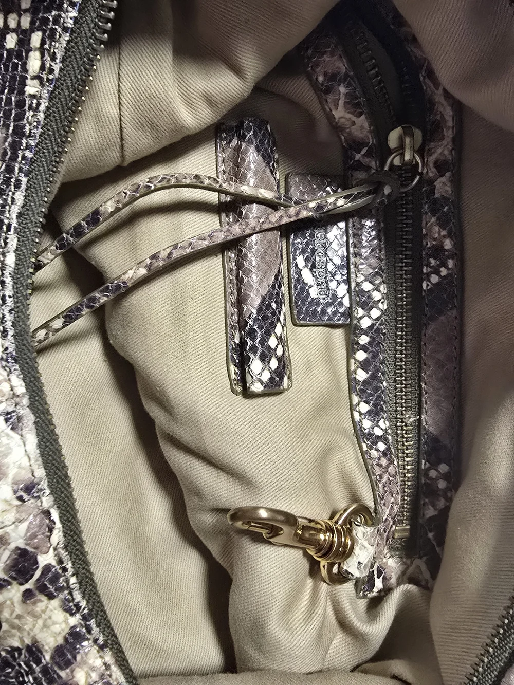 Alexis Hudson stylish snake